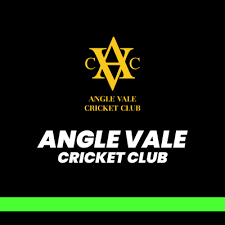 Image result for Vale Cricket Club