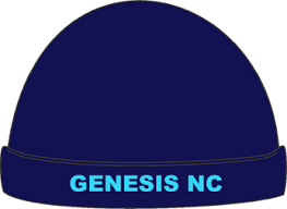 Image result for Genesis Netball Club