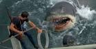 JAWS - Spielberg's First Masterpiece | JAWSmovie.
