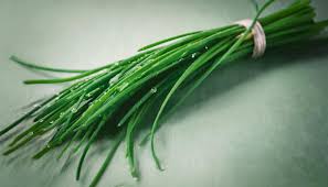 Image result for Schnittlauch