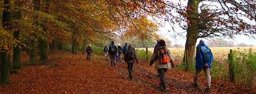 Image result for Surrey Heath Slammers