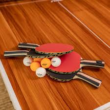 Image result for Table Tennis