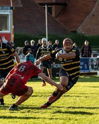 Image result for Henley Rugby Football Club