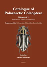 Attēlu rezultāti vaicājumam “Oxymirus cursor female”