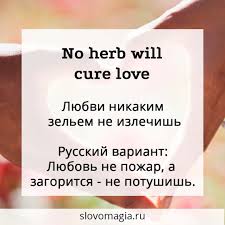 Image result for Пословицы и поговорки
