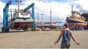 Image result for Portway Plodders