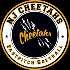 Image result for Cheetahs Softball Team