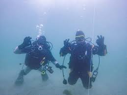 Image result for Black Country Barracudas Sub Aqua Club