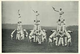 Image result for Pyramid Gymnastics Club