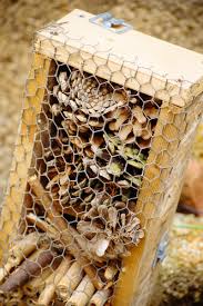 Image result for ladybug house