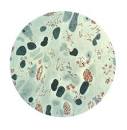 Mycobacterium leprae - Bacteria Reference Library - red Orbit
