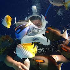 Image result for Exe To Sea Diving