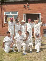 Image result for Elsecar Cricket Club