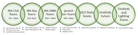 Image result for Civil Service (Ipswich) Netball Club