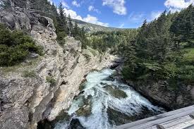 Attēlu rezultāti vaicājumam “Tubifera montana”