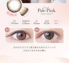 「ネオサイトワンデーシエル」の画像検索結果