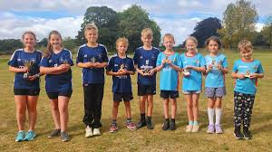 Image result for Yoxford Cricket Club