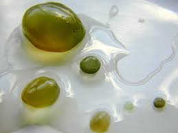 Attēlu rezultāti vaicājumam “Nostoc pruniforme macro”