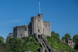 Image result for Cardiff Capitals