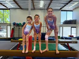 Image result for Monarchs Sports Acrobatics Club