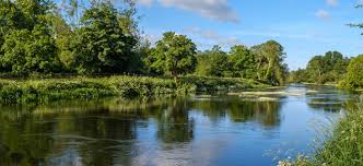 Image result for New Forest/Waterside