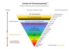 Image result for consciousness