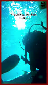 Image result for S England Dive Devil