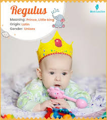 Attēlu rezultāti vaicājumam “Regulus regulus”