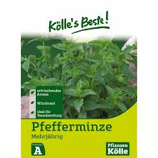 Image result for Pfefferminze