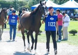 Image result for "アルマゲスト"