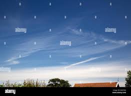 Attēlu rezultāti vaicājumam “Cirrus fibratus”