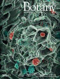 Image result for pfanzelt tehron