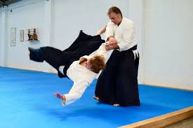 Image result for Fudokai Aikido Dojo