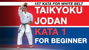 Image result for Jodan Karate