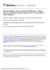 Attēlu rezultāti vaicājumam “Hymenostylium recurvirostrum”