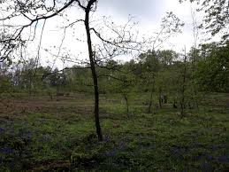 Image result for Long Eaton Field Archery Club