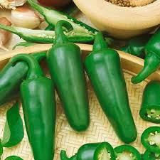 Afbeeldingsresultaat voor jalapeno early hot pepper