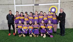 Image result for Carryduff Gaelic Athletic Club