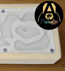 Image result for ytong ants