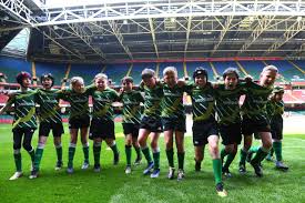 Image result for Brynaman Rugby Football Club