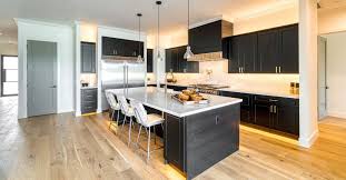 Image result for black kitchen