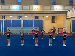 Image result for Derby Diamonds Netball Club