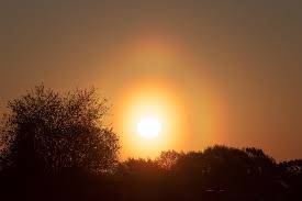 Attēlu rezultāti vaicājumam “pollen corona”