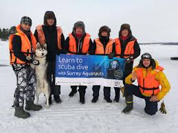 Image result for Plymouth Aquanauts