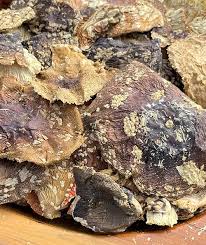 Attēlu rezultāti vaicājumam “Amanita regalis”