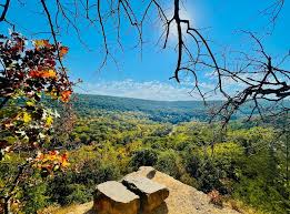 Image result for Dearne Valley Devils