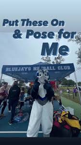 Image result for Blue Jays Netball Club