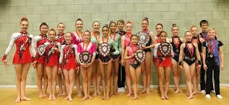 Image result for Horsham Gymnastics Club