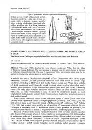Attēlu rezultāti vaicājumam “Calliergon megalophyllum”