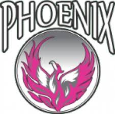 Image result for Phoenix Netball Club